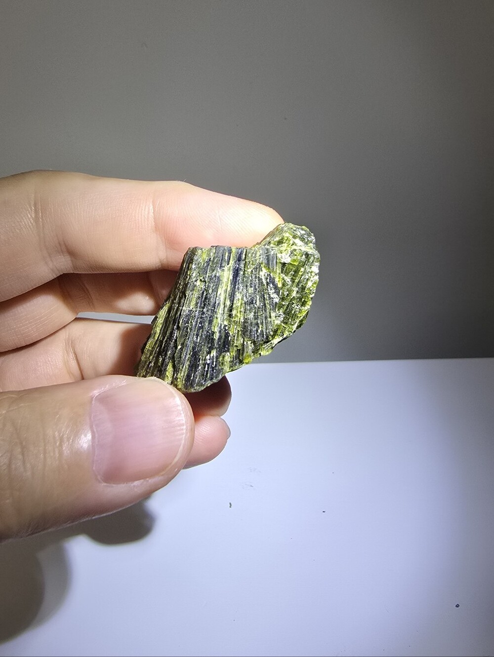 Epidote with Actinolite #D